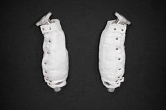 Capristo Ferrari 360 - Sports Cats 250 Cell (with Heat Blankets)