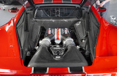 Ferrari 458 Speciale - Carbon Lock Cover