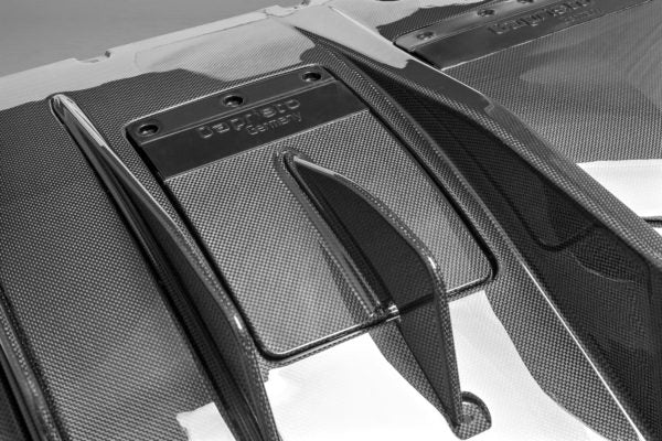 Ferrari 458 Speciale - Carbon Rear Diffuser